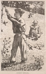Zelená jablka od Winslow Homer