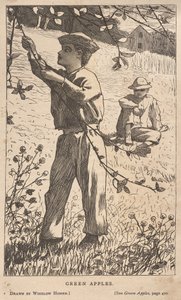 Zelená jablka od Winslow Homer