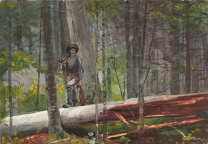  od Winslow Homer