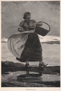 Uvnitř baru, z časopisu The Century, listopad 1883 od Winslow Homer