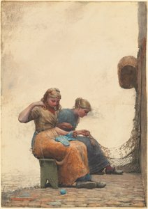 Spravování sítí od Winslow Homer