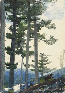 Staří osadníci od Winslow Homer