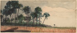 Palmy, červená od Winslow Homer