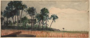 Červené palmy od Winslow Homer