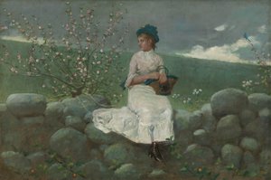 Broskvové květy, 1878. od Winslow Homer