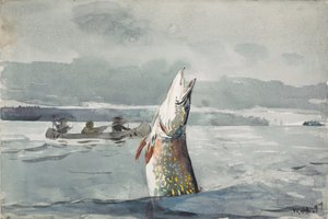 Lake St. John od Winslow Homer