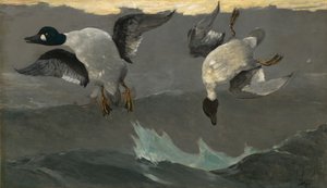 Vpravo vlevo od Winslow Homer