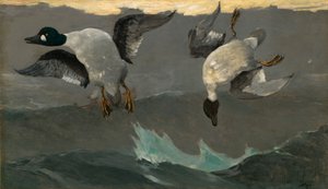 Pravá a levá od Winslow Homer