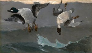  od Winslow Homer