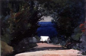 Road in Bermuda, c.1899-1901 (akvarel přes tužku na papíře) od Winslow Homer