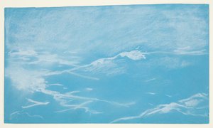 Racek a vlny od Winslow Homer