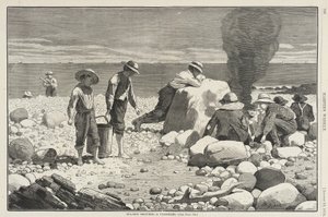  od Winslow Homer