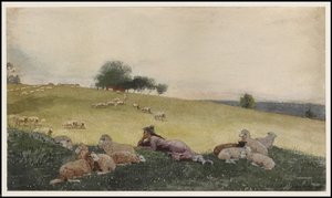 Pastýřka z Houghton Farm, 1878 od Winslow Homer