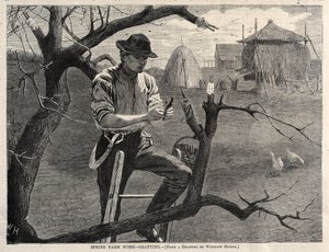  od Winslow Homer