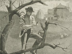  od Winslow Homer