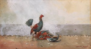 Kohoutí souboj od Winslow Homer