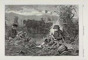 Poslední dny sklizně od Winslow Homer