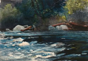 Rapids, řeka Hudson, Adirondacks od Winslow Homer
