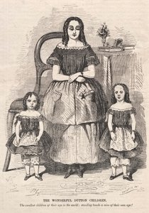 The Wonderful Dutton Children, 1859. od Winslow Homer