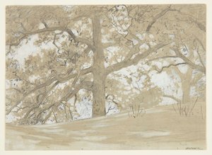 Waverly Oaks od Winslow Homer