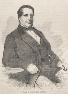 William E. Burton, advokát, komik od Winslow Homer