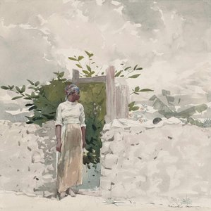 Žena stojící u brány, Bahamy od Winslow Homer