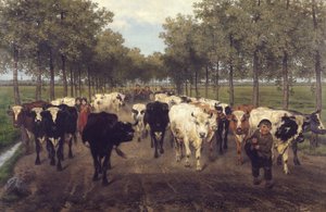 Meersstraat v Gentu od Xavier de Cock