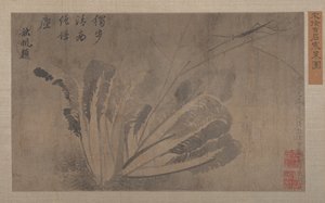 Zelí a hmyz. od Xu Daoguang