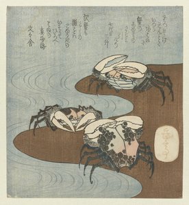 Krabi na břehu od Yashima Gakutei