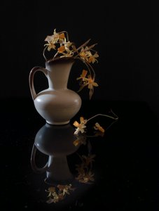  od Yuanwei Zuo APA