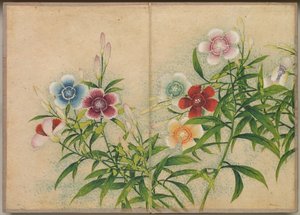 Desk Album: Flower and Bird Paintings Pinks, 18th Century.