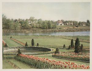 Americká předměstská scéna, c 1928 od John Pardon