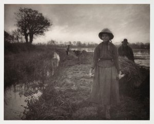 Zemědělství na orné půdě, sklizeň „Poling The Marsh Hay“ (transport du foin des marais) od John Pardon