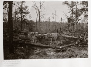 Battlefield of New Hope Church, Georgia, USA od Ferdinand Georg Waldmuller