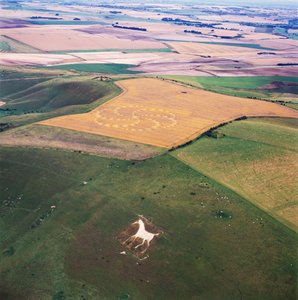 Kruh v obilí v pšeničné pole, Milk Hill, Alton Priors, Vale of Pewsey, Wiltshire od Ferdinand Georg Waldmuller
