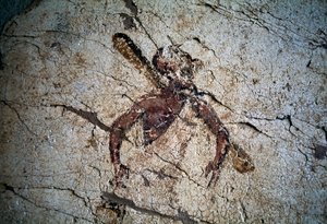 Fresco, ostrov Kos, Řecko (foto)