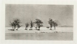 "Gnarled Thorn Trees" od Frederick (attr. to) Barnard