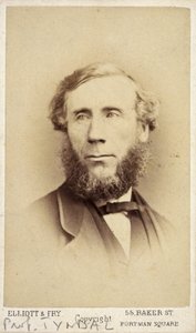 John Tyndall, irský fyzik, c 1875 od Frederick (attr. to) Barnard