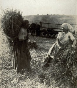 The Harvesters, kolem roku 1900 od Frederick (attr. to) Barnard