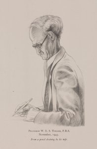 Profesor W E S Turner, listopad od Frederick (attr. to) Barnard