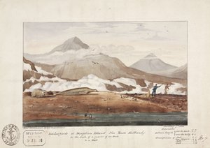 „Mořští leopardi na ostrově Deception, Nové Jižní Shetlandy“, 7. ledna od John Pardon