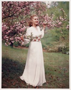 Žena modelující šaty blízko květu, c 1940 od Frederick (attr. to) Barnard