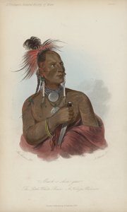 Meach-o shin-gaw, The Little White Bear, A Konza Warrior (akvatinta)