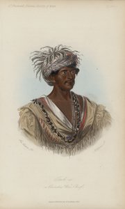 Tuch-ee, válečný náčelník Cherokee (akvatinta)