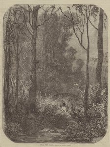 Pod stromy od Gustave after Dore