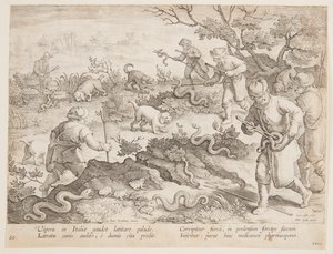 Lov hadů od after Jan van der Straet, called Stradanus