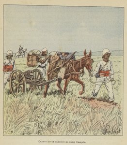 Děla Hova přivezena zpět do francouzského tábora od after Louis Charles Bombled