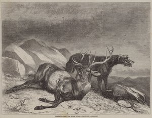 Lov jelenů, umírající jelen od after Richard Ansdell