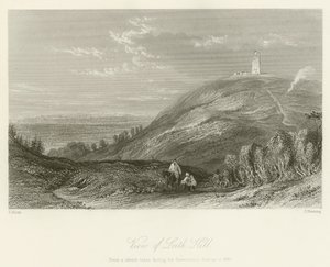 Pohled na kopec Leith Hill