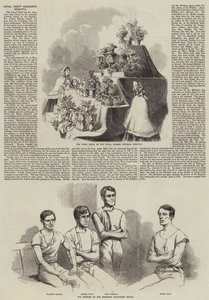 Regata královské jachtařské eskadry